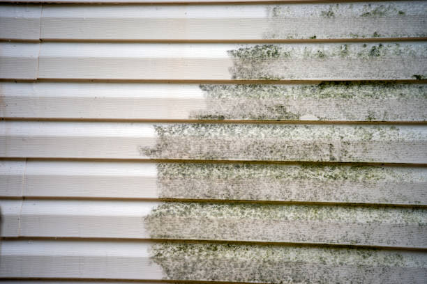 Affordable Siding Repair and Maintenance Services in Upper Exeter, PA